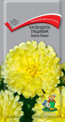 Календула пацифик  Бьюти лемон