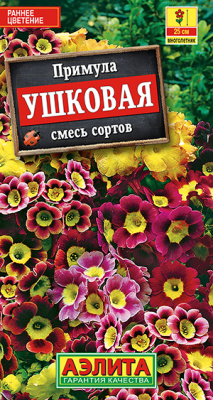 Примула ушковая, смесь сортов_ЦП