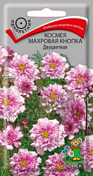 Космея Махровая Кнопка Двуцветная