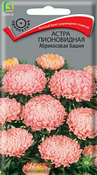 astra_pion_abrikosovaya_bashnya