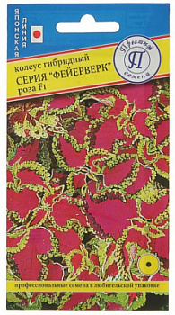 Фейерверк