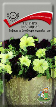 Петуния гибридная Софистика блекберри энд лайм грин