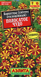 Бархатцы Полосатое чудо