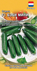 Бэби мини