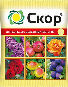 stt0ajp3t22p0m6vfhq9bvu3c7ceb2ut скор1