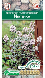 Пенстемон Мистика