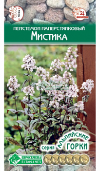 Пенстемон Мистика