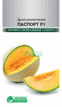 Дыня Паспорт