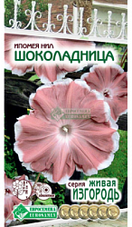 Ипомея Шоколадница