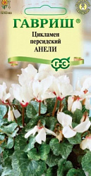 Цикламен Анели