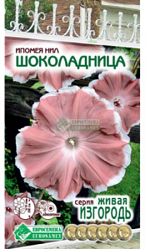 Ипомея Шоколадница