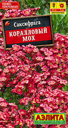 Саксифрага Коралловый мох (