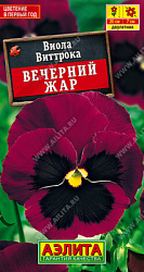 Виола Вечерний жар