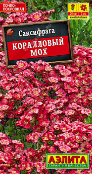 Саксифрага Коралловый мох (