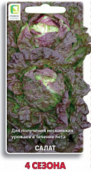 salat_4_sezona