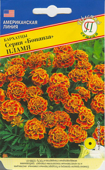 Бархатцы бонанза