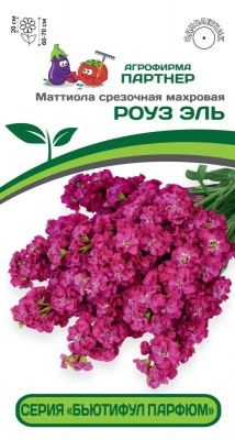 Маттиола Роуз Эль