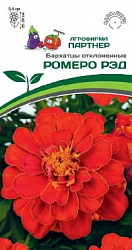 Бархатцы отклоненные РОМЕРО