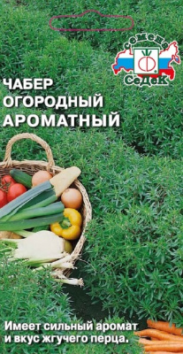 chaber_ogorodnyy_aromatnyy