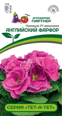 Примула Английский фарфор