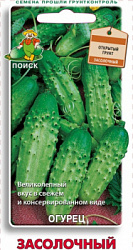 Ogurec ZASOLOCHNYJ