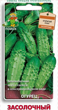 Ogurec ZASOLOCHNYJ