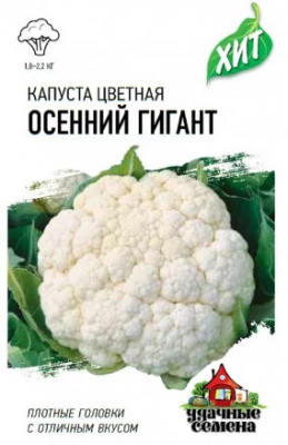 Капуста цветная Осенний гигант хит