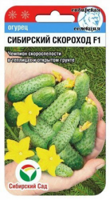 Огурец Сибирский скороход