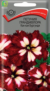 Петуния грандифлора Кан кан Бургунди