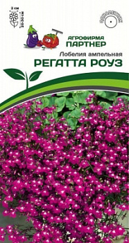 Лобелия Регатта Роуз