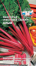 mangold_alyy