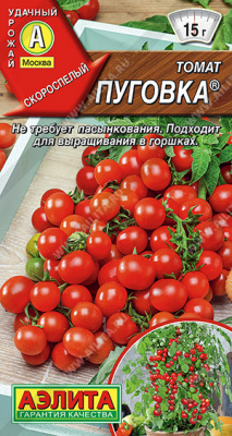 Томат Пуговка