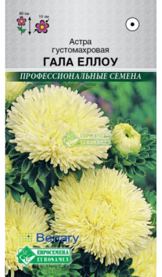 Астра Гала Еллоу