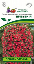 Петуния вивьен