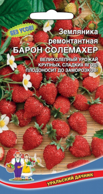 zemlyanika-baron-solemaher