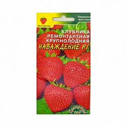 ЦБ-00000368_1
