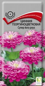 cinnia_georg_super_yoga_rouz