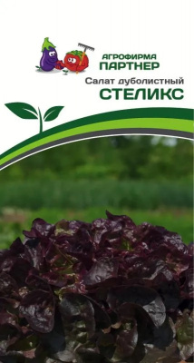 Салат стеликс