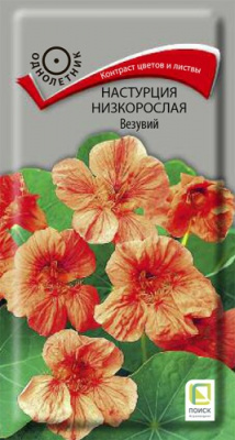 nastrucia_nizkorosl_vezuvy