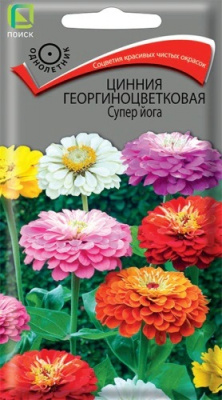 Цинния георгиноцветковая Супер йога