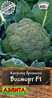 Восторг
