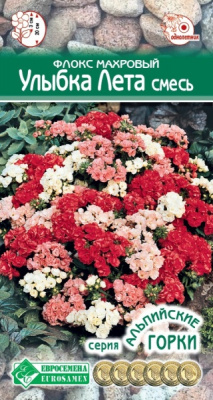 Флокс Улыбка лета