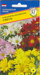 Хризантема индийская Смесь