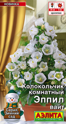 Колокольчик комнатный Эппил вайт