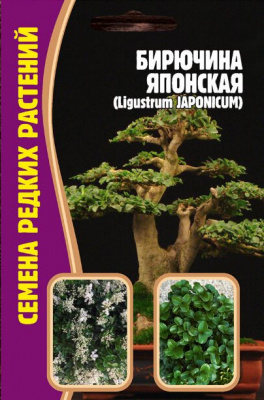 Бирючина