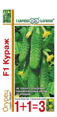 Кураж 1