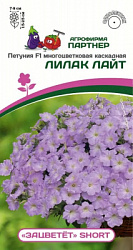 Петуния зацветет лилак лайт