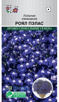 Лобелия Роял Пэлас