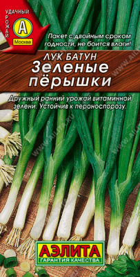 Лук Зеленые перышки