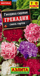 Гвоздика садовая Гренадин, смесь сортов_ЦП